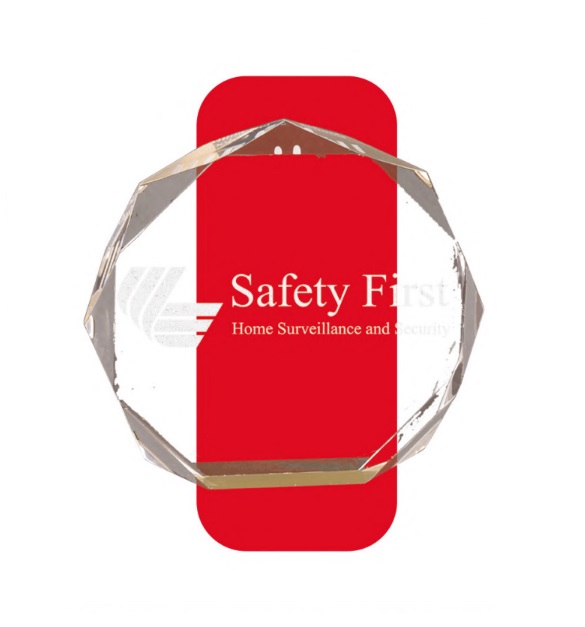 Gold Octagon Acrylic Award